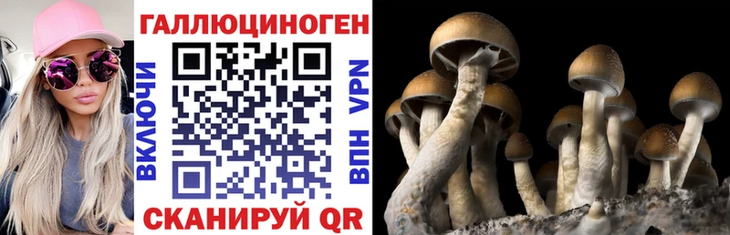 Псилоцибиновые грибы ЛСД  Княгинино 